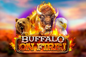 Buffalo on Fire!