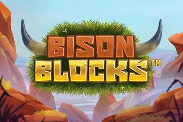 Bison Blocks
