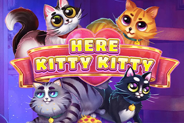 Here Kitty Kitty