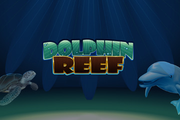 Dolphin Reef