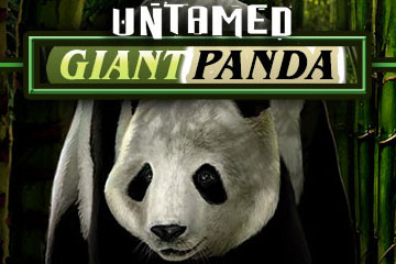 Untamed Giant Panda