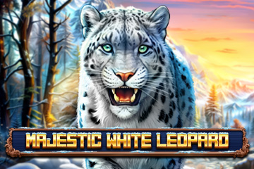 Majestic White Leopard