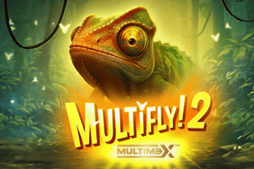 MultiFly! 2 MultiMax